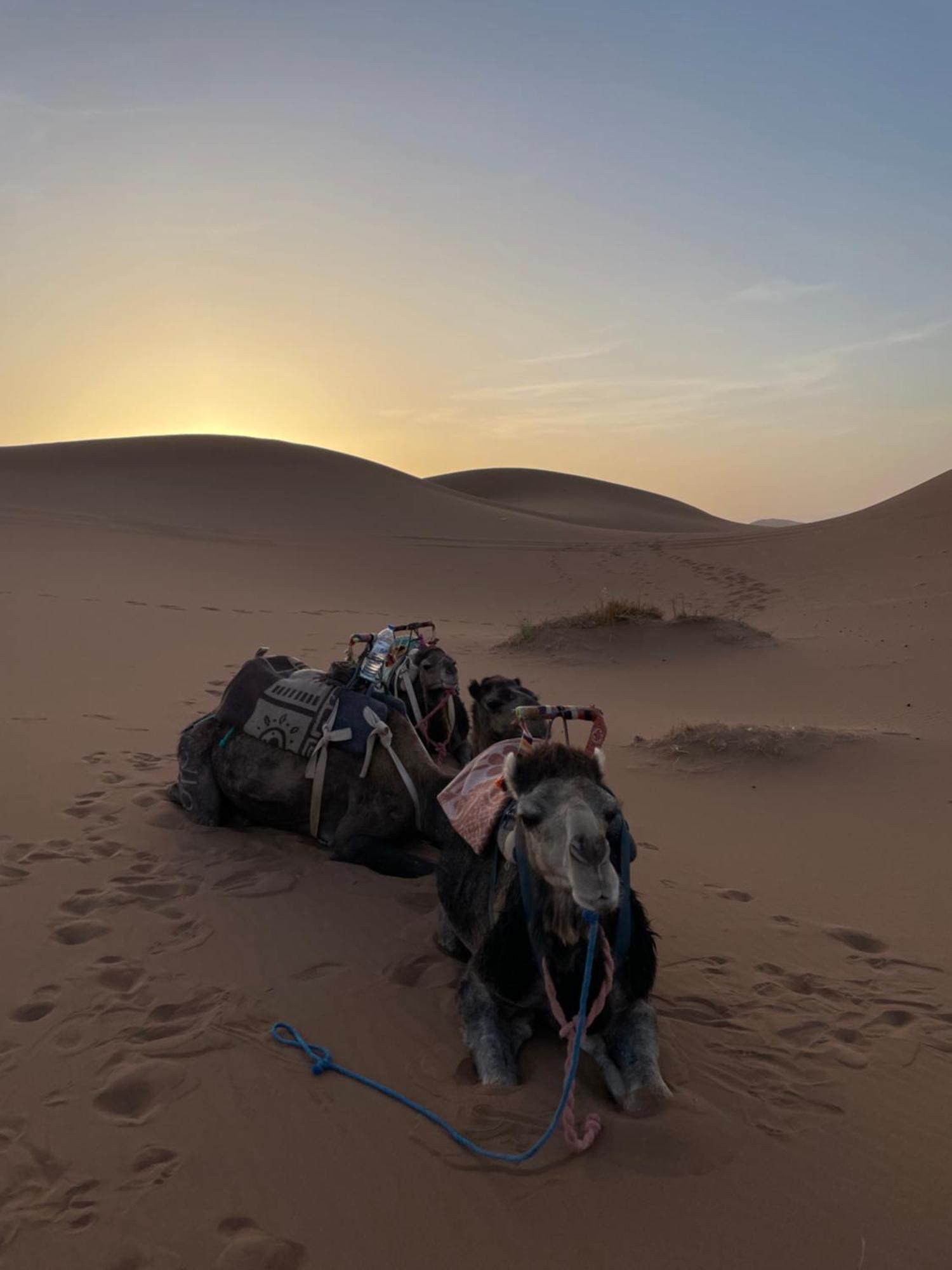 Dar Toda - Zagora Guest House Buitenkant foto